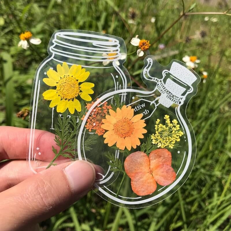 Set of transparent floral bookmarks with real dried pressed flowers, perfect gift for readers & book lovers.