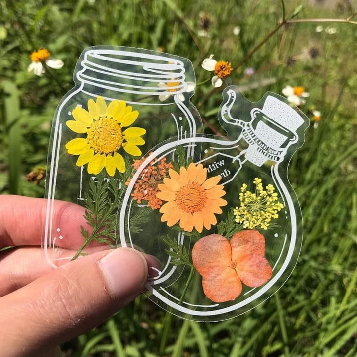 Set of transparent floral bookmarks with real dried pressed flowers, perfect gift for readers & book lovers.