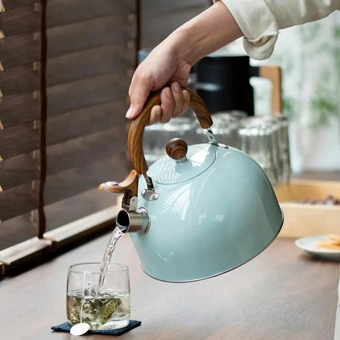 Contemporary stainless steel whistling kettle, a stylish & functional water boiler with an insulated handle for modern kitchens.