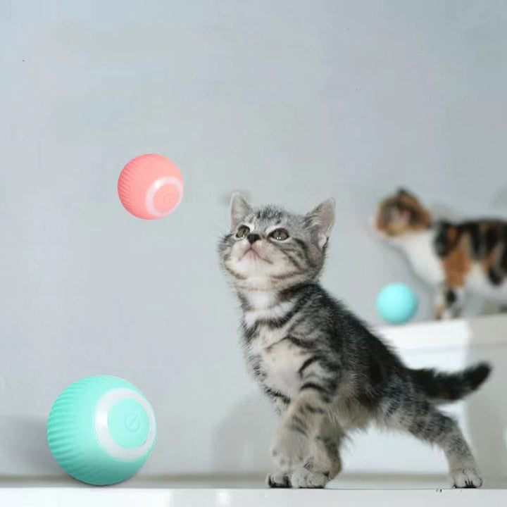 Detailed shot of the smart cat toy's charging port and power button mechanism.