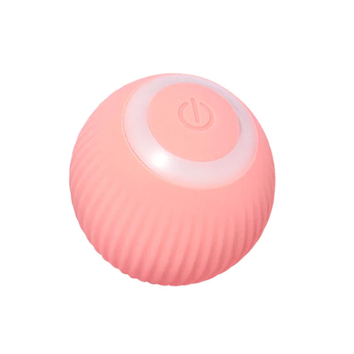 Top-down view of the interactive cat ball's internal smart technology components.