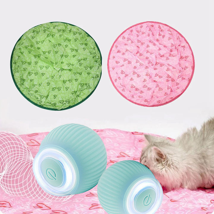 Cats playing together with the interactive smart ball, promoting social interaction.