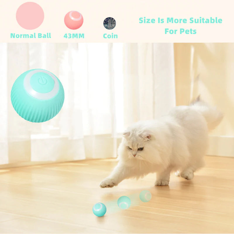 Cat batting and chasing the interactive smart ball toy, demonstrating its engaging features.