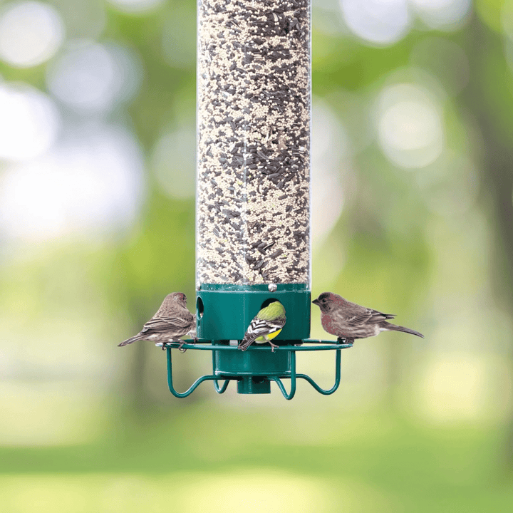 Easy-to-hang squirrel-proof birdhouse for garden birds, features a protective rotating perch. Durable & wildlife friendly.