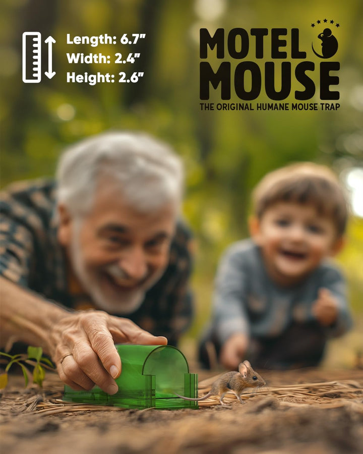 Set of 4 Tavvita humane mouse traps. Live capture & release system for rodent control without harm.