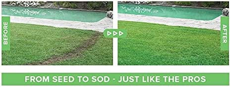 Innovative home lawn care seeding system, TavvitaImp010, sprays grass seed for quick, effortless growth & green lawns.