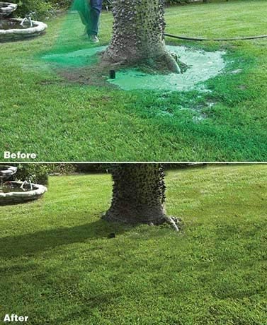 TavvitaImp010 grass seed spray system for quick, easy application, ensuring a lush, green lawn and garden growth.