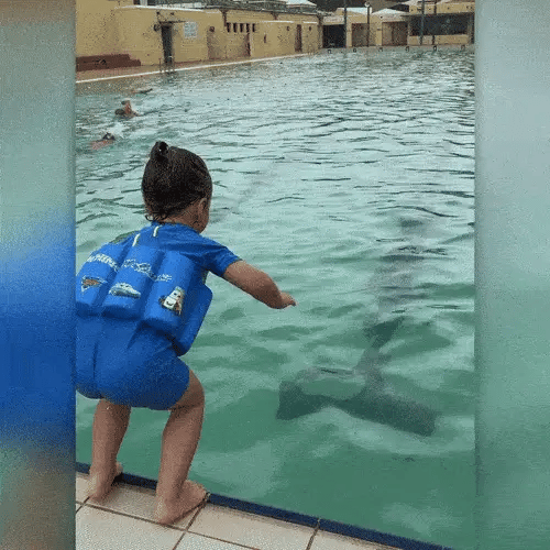 Water safety 3-in-1 kids' float vest, rash guard, and swim shorts for toddlers.