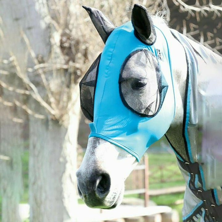 Horse enjoying pasture time, protected by an anti-fly mesh mask, promoting animal welfare and healthy pet care.
