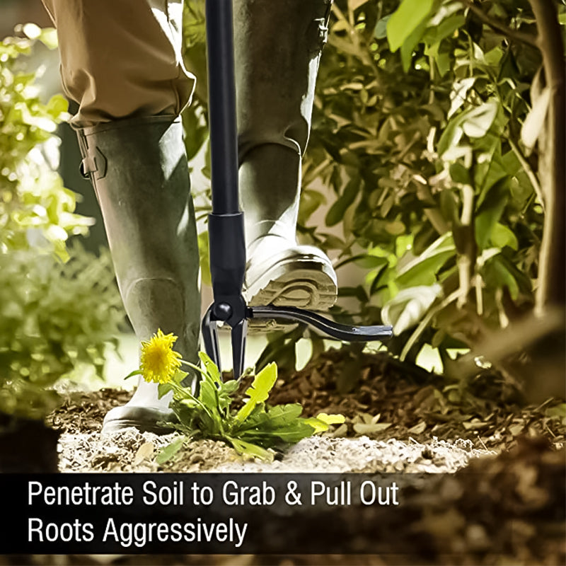 Gardener using the unisex ergonomic weed puller to easily remove dandelions from a lawn