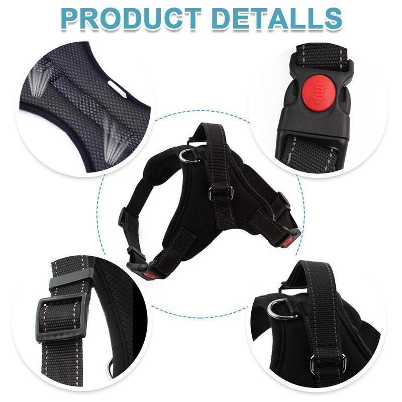 Close-up of adjustable no-pull dog harness buckles, durable nylon pet vest for walking