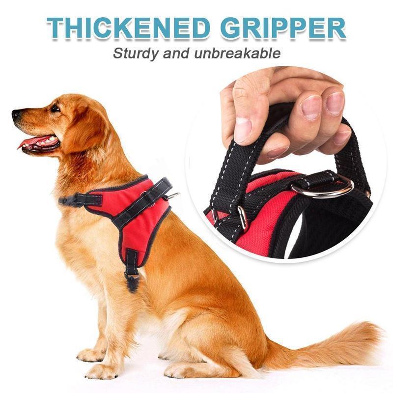 Dog wearing a black no-pull dog harness, adjustable pet vest with reflective detailing
