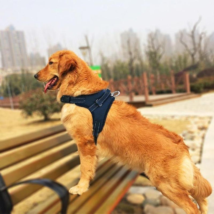 Nylon no-pull dog harness with front D-ring, adjustable pet vest for better control during walks