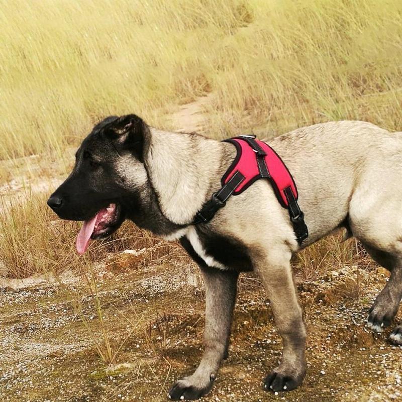 Unisex no-pull dog harness, adjustable pet vest, perfect car safety and walking gear for dogs