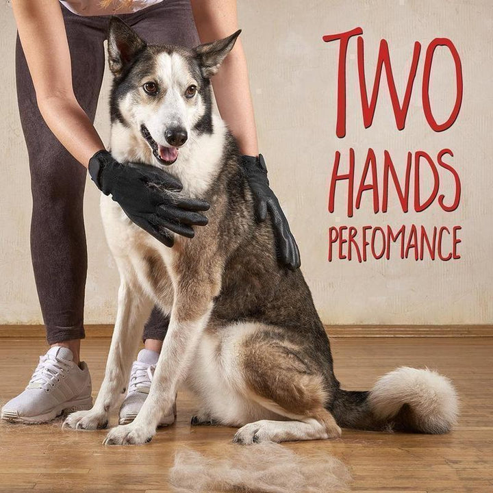 Deshedding gloves, a must-have in pet supplies for keeping your home hair-free and pets happy.