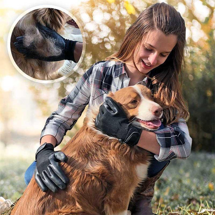 Pet owner using deshedding gloves to brush a short-haired dog, illustrating easy pet care.
