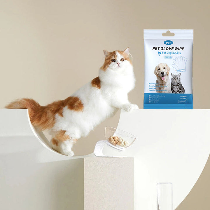 Multi-purpose pet cleaning glove wipes for a quick refresh between baths