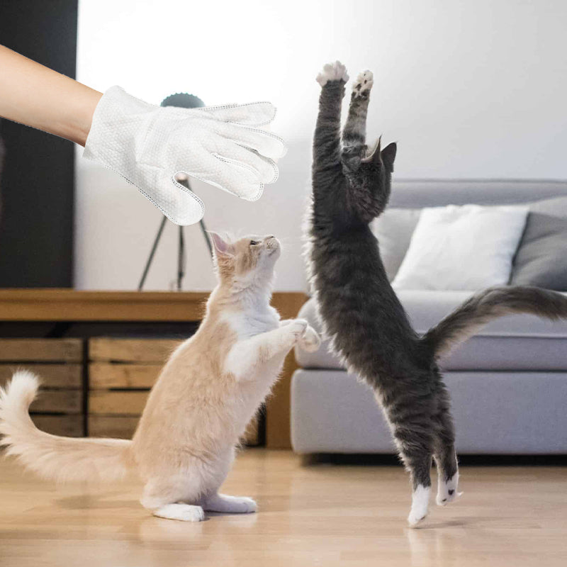 Waterless pet wash glove wipes for dogs & cats, simple and effective cleaning