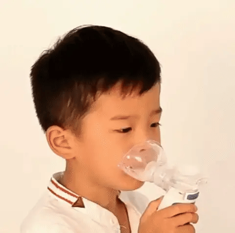 Compact rechargeable nebulizer providing fine mist for asthma & allergy respiratory relief.