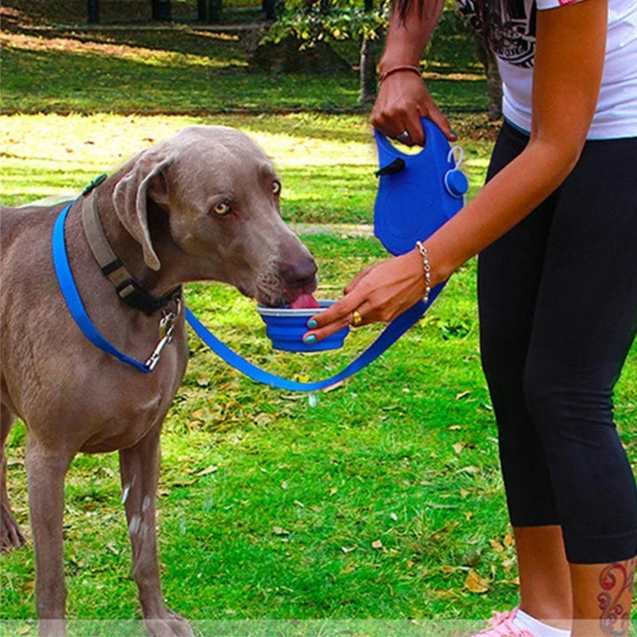 Retractable dog leash with waste bag dispenser, convenient for dog walking