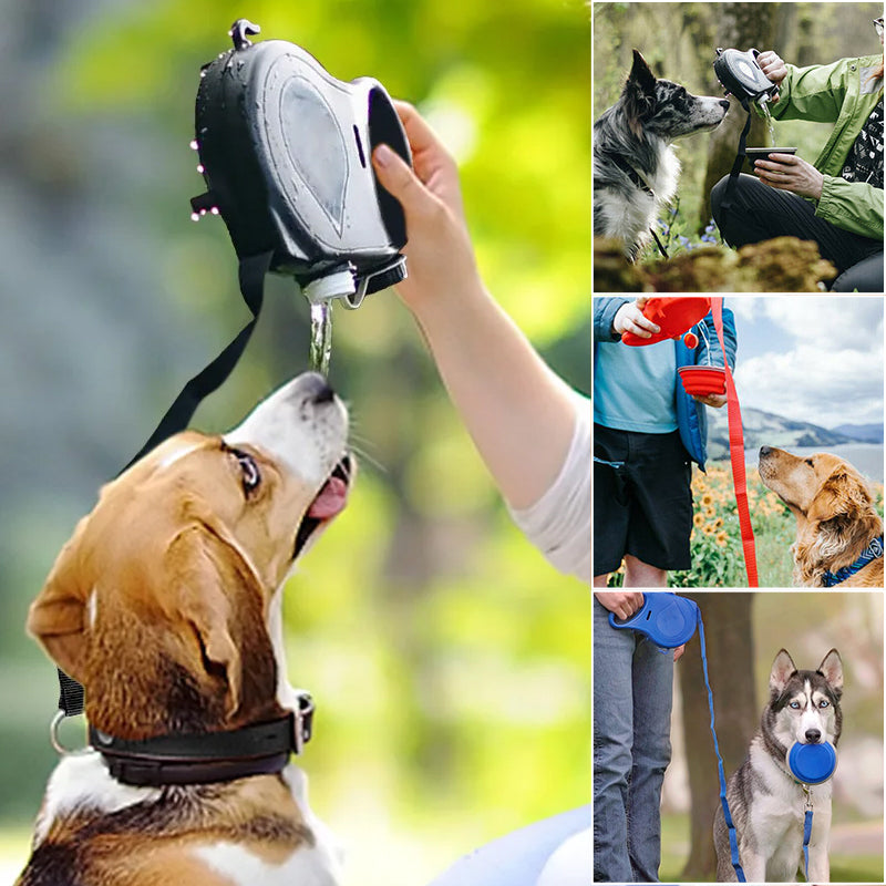 A pet owner using the 4-in-1 retractable dog leash with their dog, pet travel