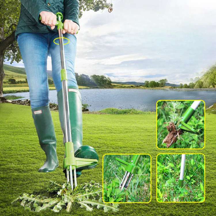 Upright garden weed puller tool, effortlessly removing weeds for a pristine lawn. Efficient root extractor.