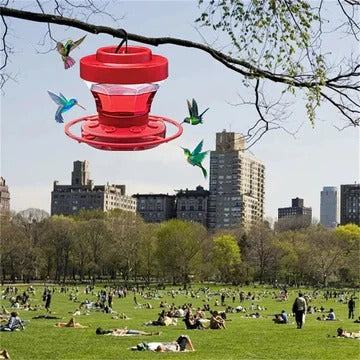 Clear nectar reservoir red hummingbird feeder with bee-proof ports & perches, great for backyard wildlife.