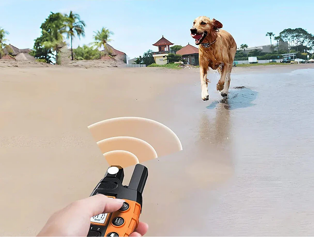 Long-range waterproof dog training collar with remote for effective pet obedience and behavior correction.