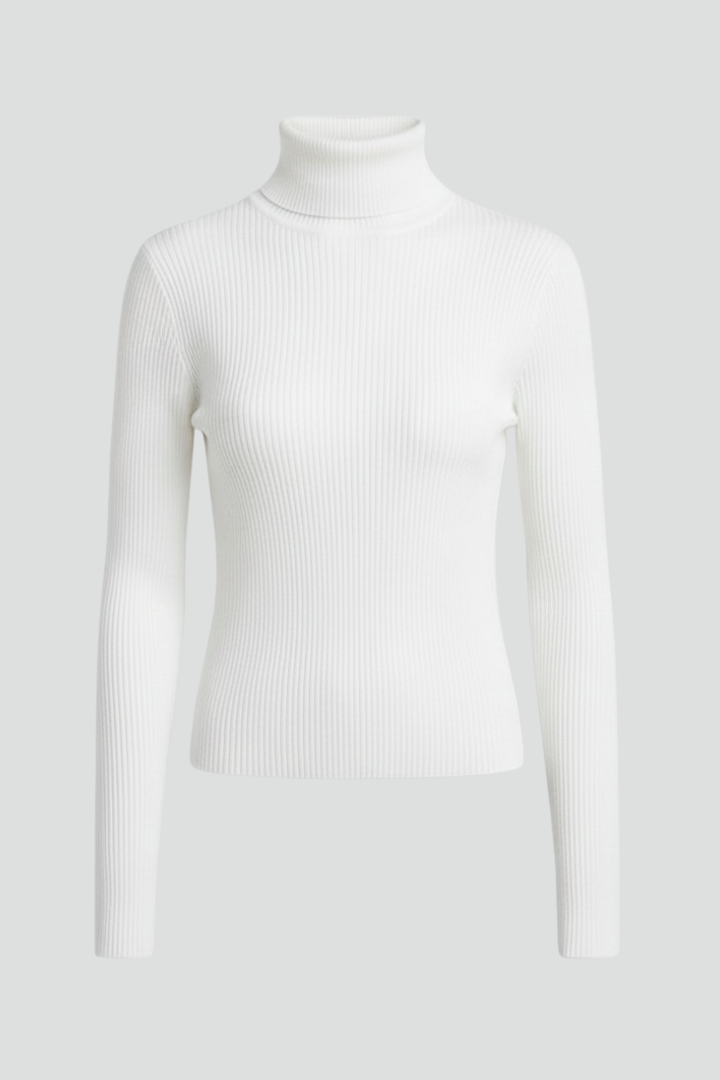 Women's elegant high neck ribbed sweater, long sleeve, perfect for chic fall layering.