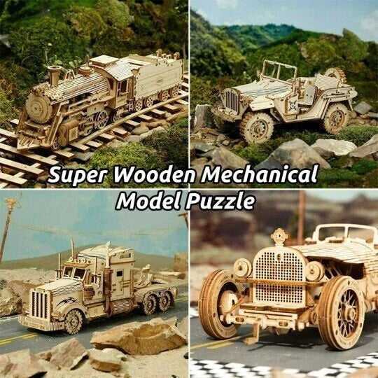 Wooden mechanical 3D puzzle model kit for adults