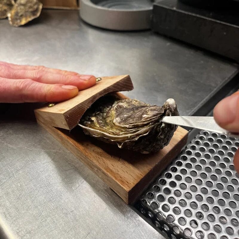 Detail of the grip on a wooden oyster shucking clamp, showing secure oyster holding